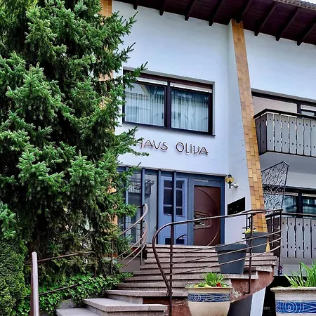 Apartment Haus Oliva Charmante In Top-lage Mit Balkon Und Parkplatz *